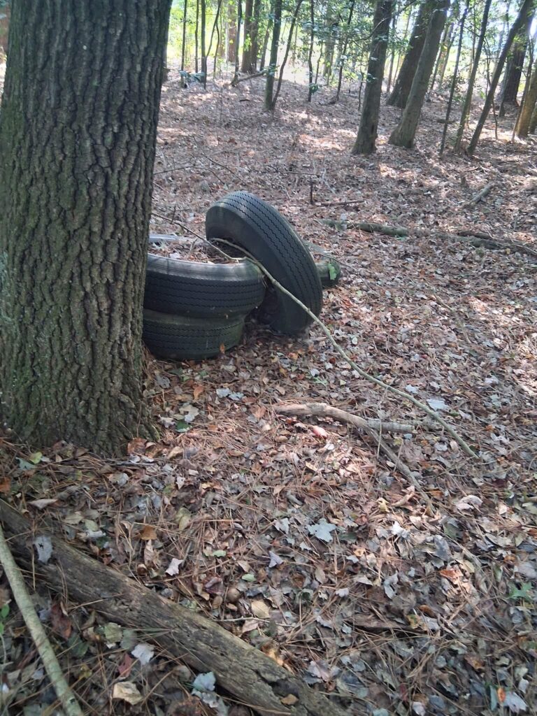 Junk Removal - Salisbury, Maryland - Delmarva Waste Solutions