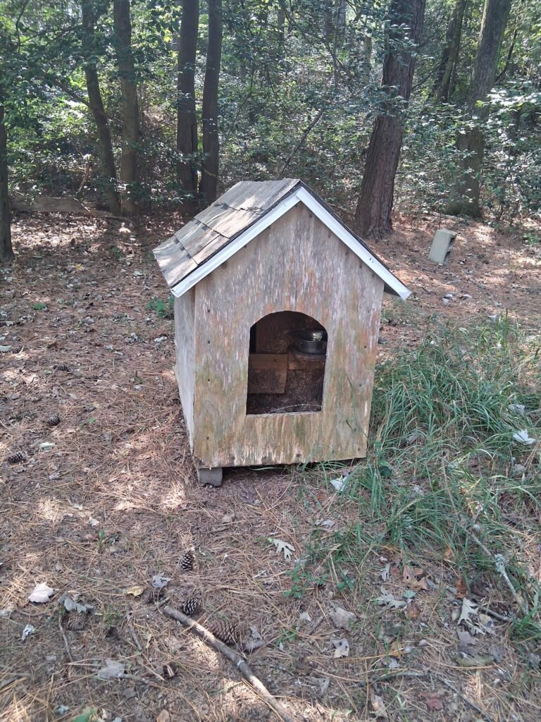 Junk Removal - Salisbury, Maryland - Delmarva Waste Solutions