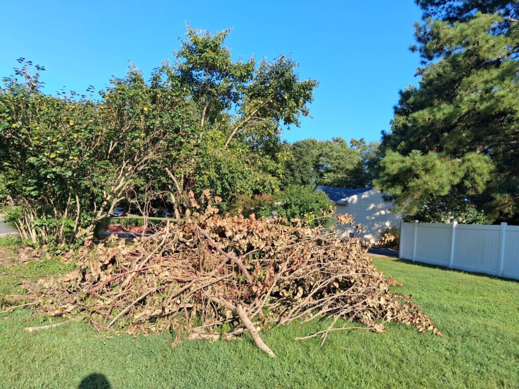 Junk Removal - Salisbury, Maryland - Delmarva Waste Solutions